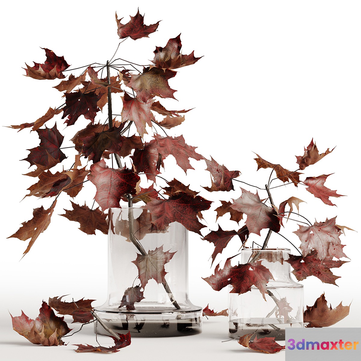 Maple branches in a glass vase 3D Max