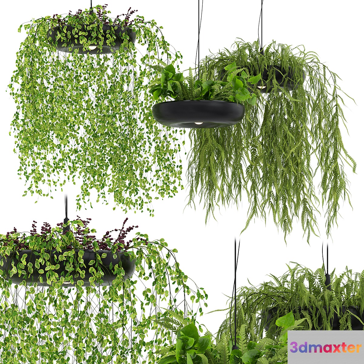 Indrid Decorative Plants Black Light By Lightmakers 3D Max