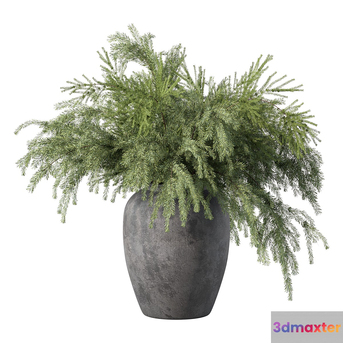 Bouquet Pine Branches Set.27 - No.2 3D Max