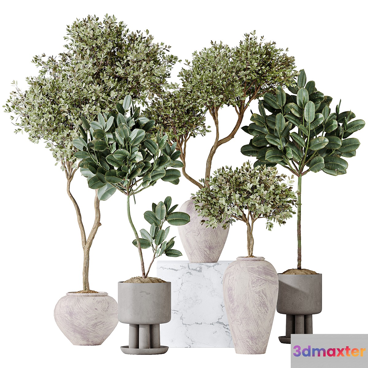 Elastica Abidjan Melany and Mission Olive Tree Vase 18 - No.2 3D Max