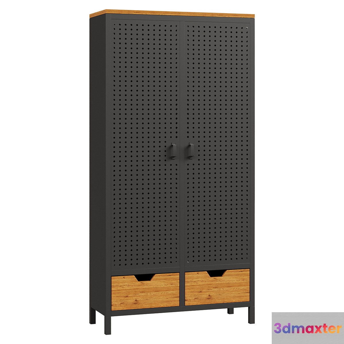 Wardrobe with 2 doors made of metal and oak AGAMA 3D Max
