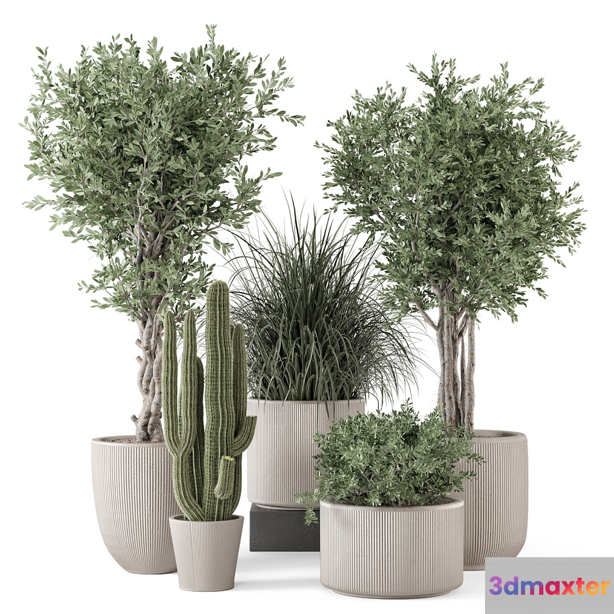 Indoor Plants in rusty Concrete Pot - Set 1911 3D Max