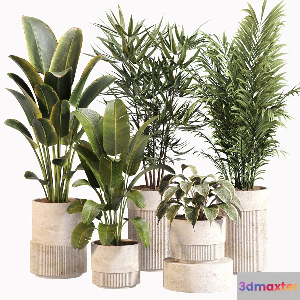 Indoor Plant Set 031 3D Max