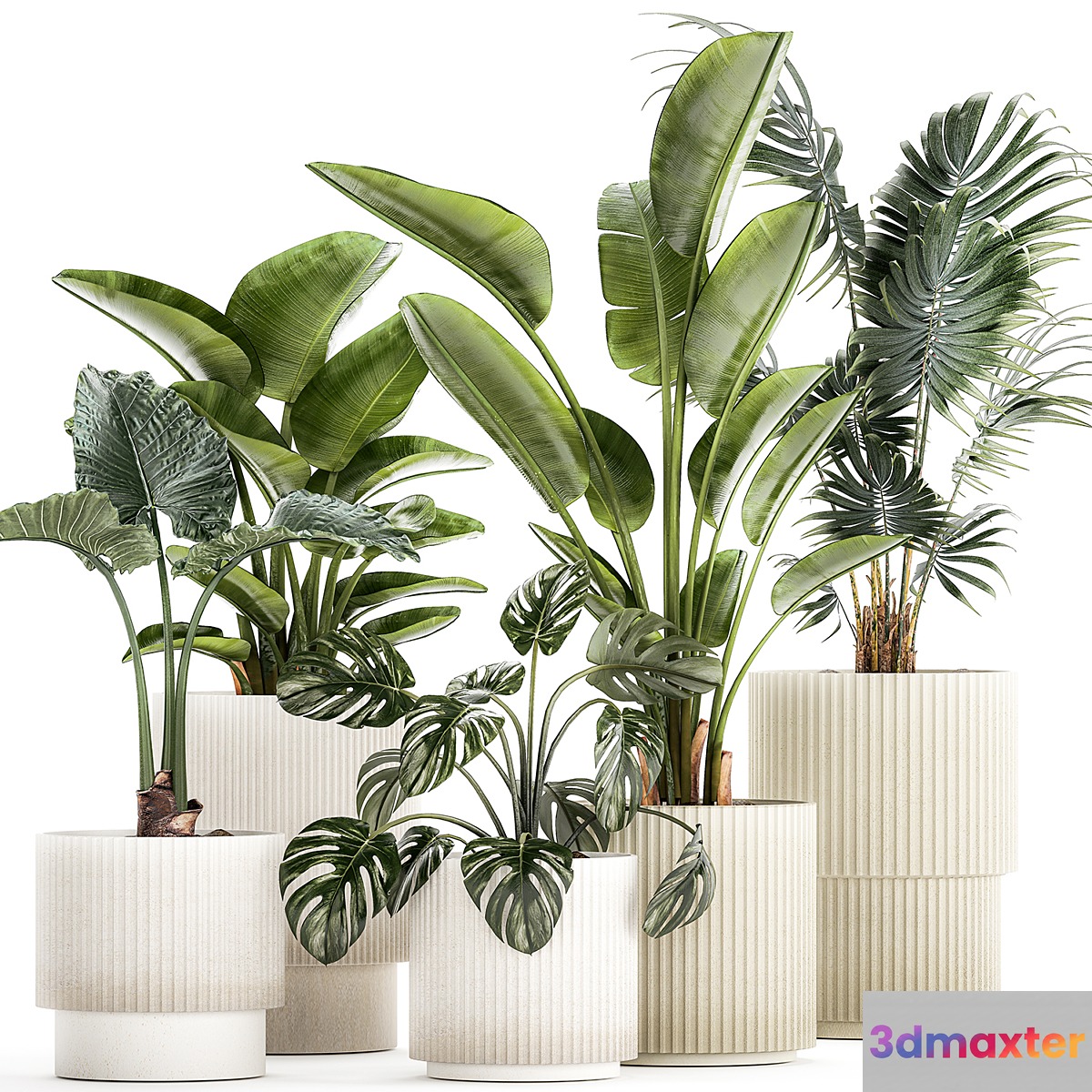 Plant collection 1465 3D Max
