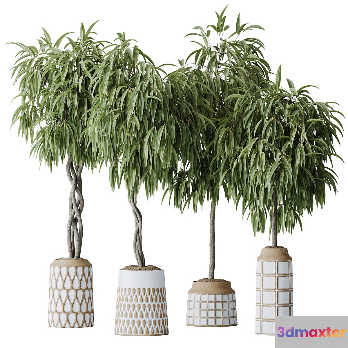 HQ HousePlants Huge Ficus Binnendijkii Alii Maclellandii Braid 3D Max