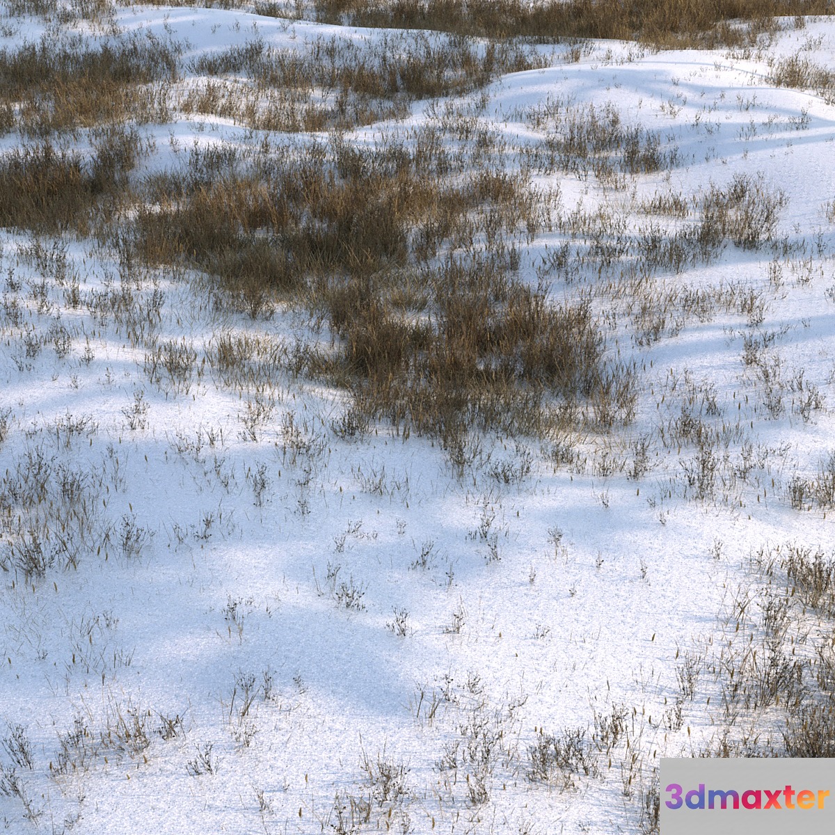 grass under snow02 3D Max