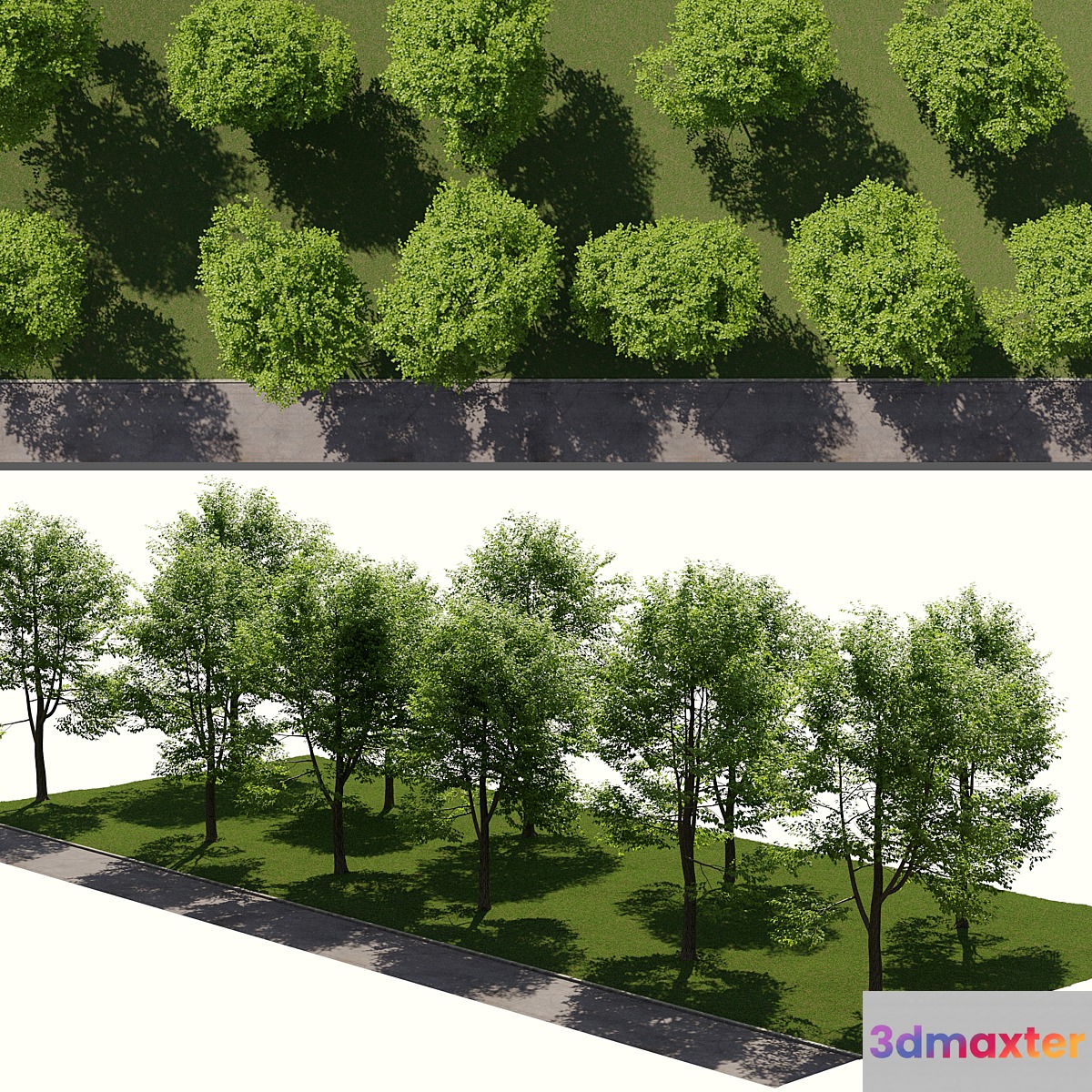 Landscape toolkit_ street 3D Max