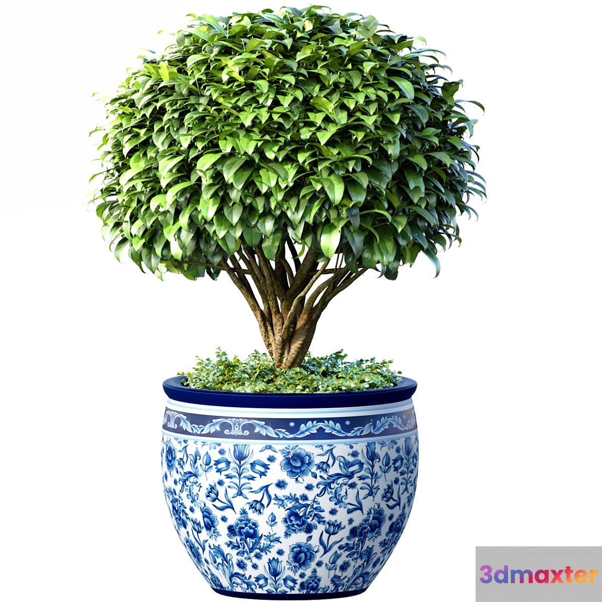 Decorative tree in an Italian vase. Indoor plant 3D Max