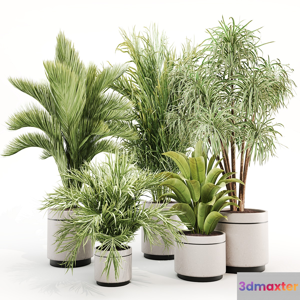 IndoorPlantSet015 3D Max