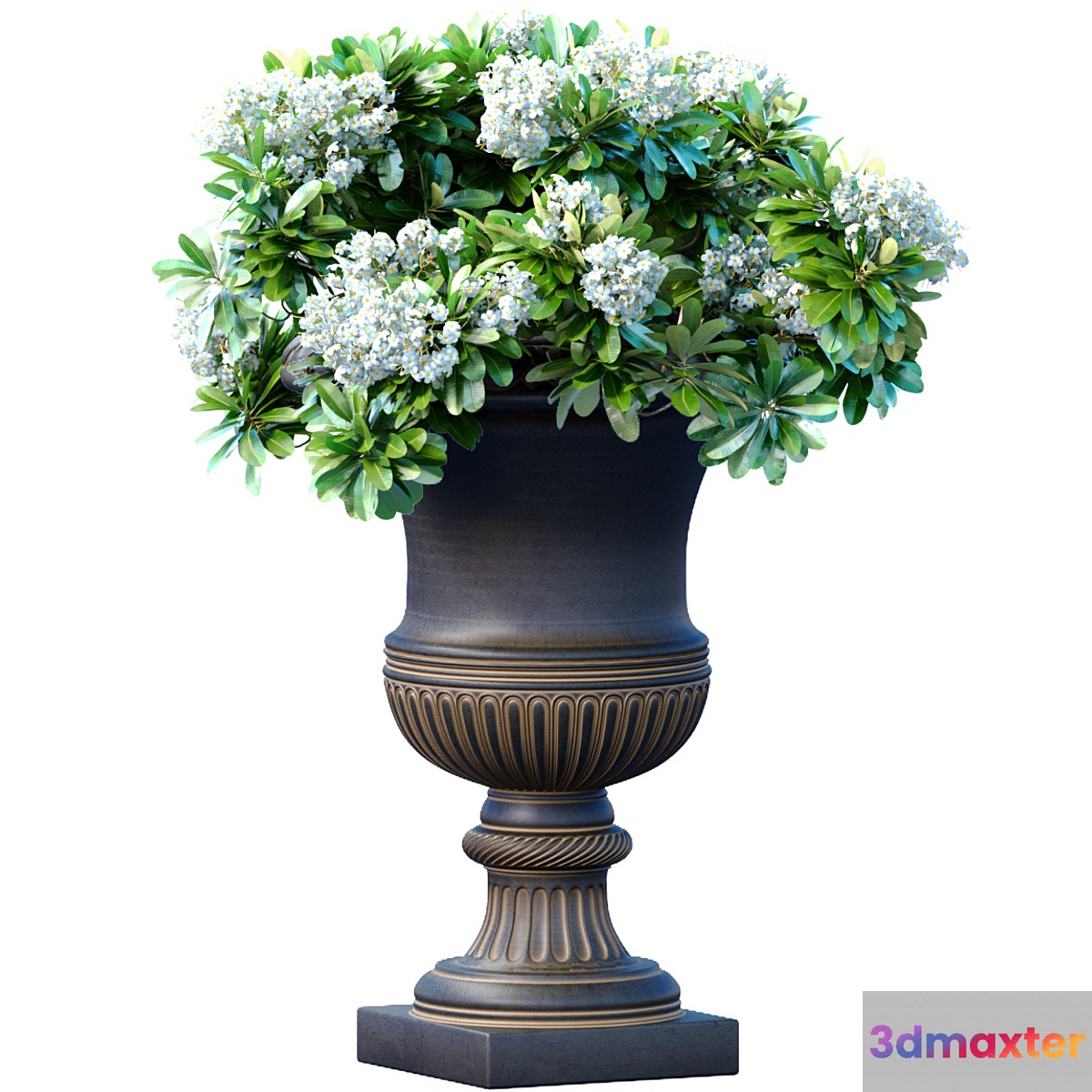 Bouquet of white flowers in a classic black vase for decoration 3D Max