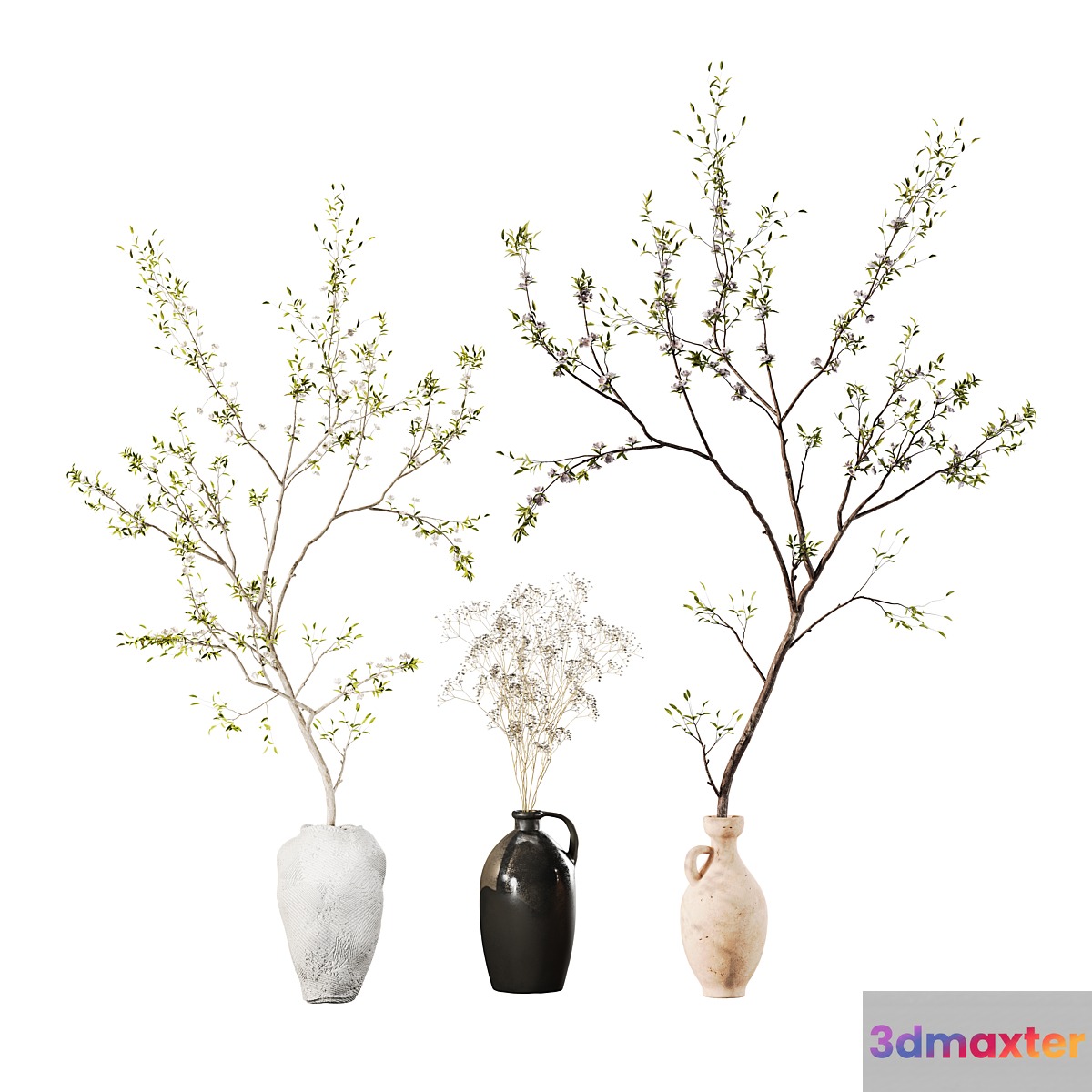 Indoor Plant 01 3D Max