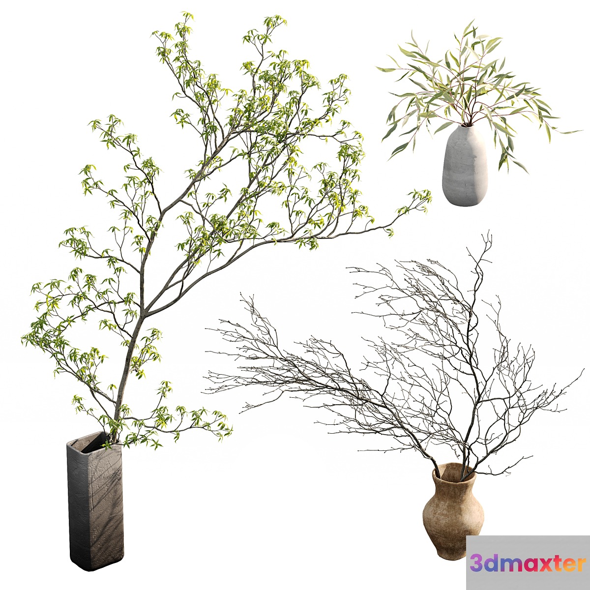Branches in vases 3D Max