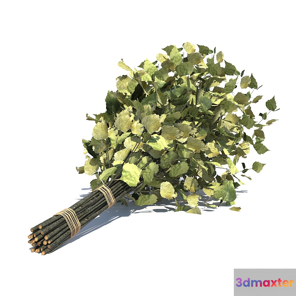 Birch broom for a bath or sauna 3D Max