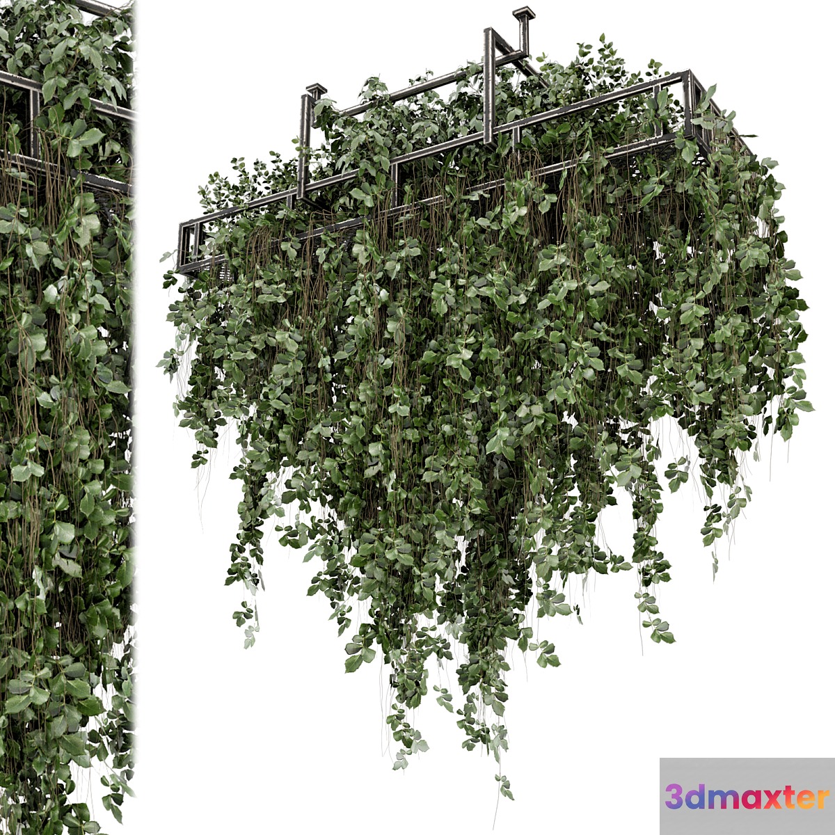 Indoor Hanging Plants in Metal Box - Set 2009 3D Max
