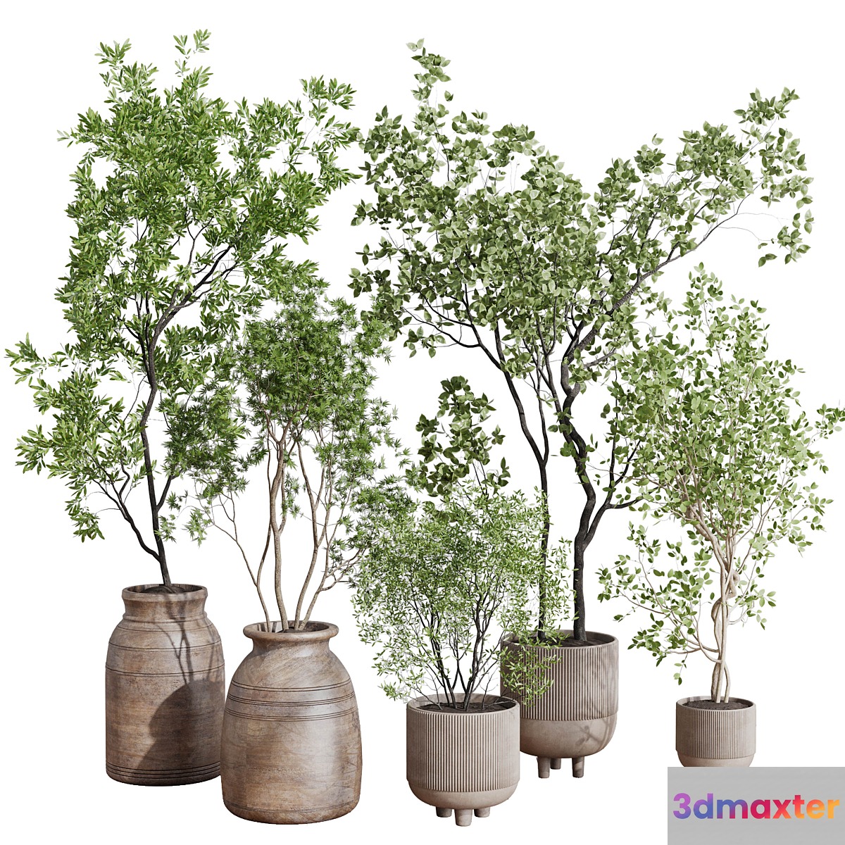 collection indoor plant 456 wooden old and concrete vase 3D Max