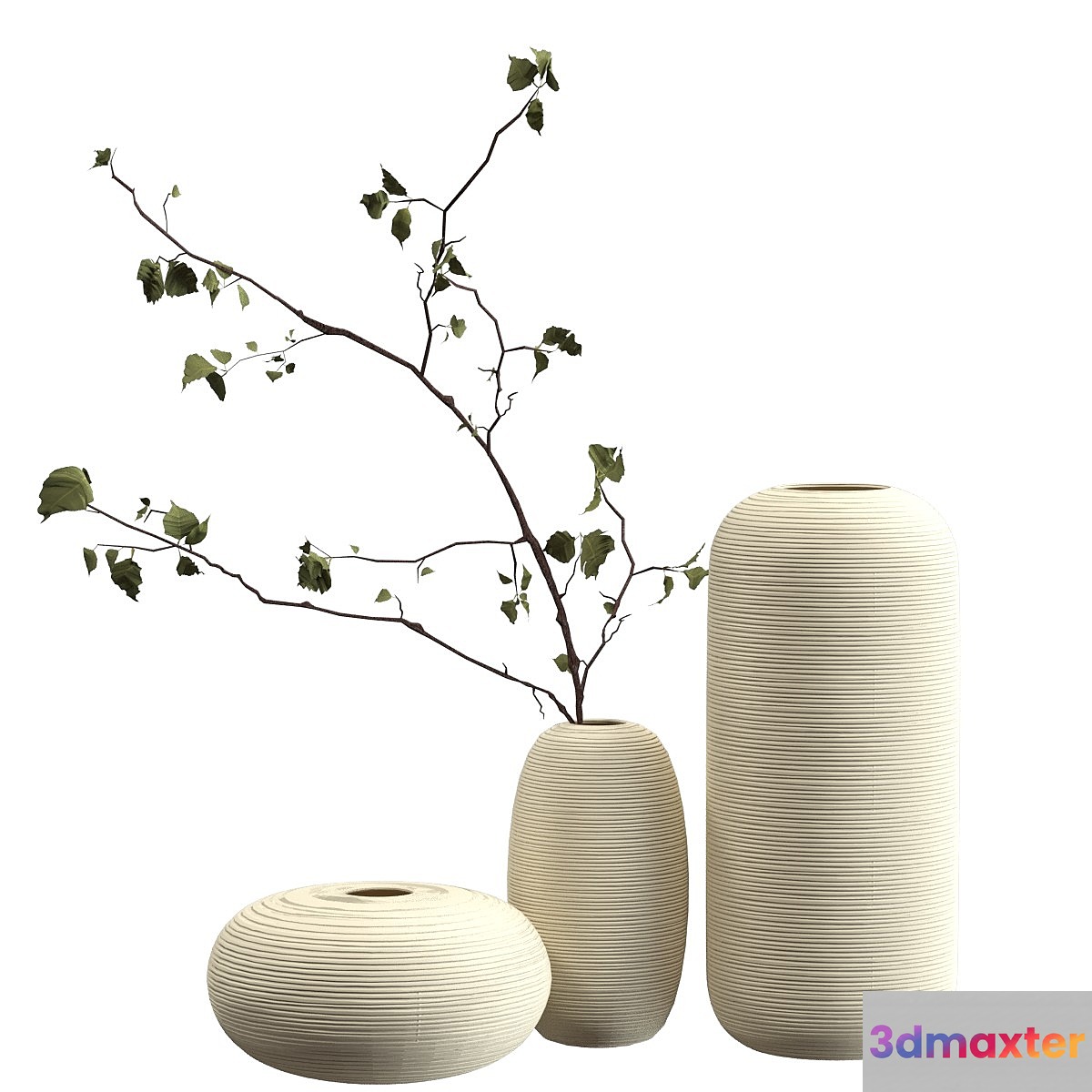 Vases with branch 3D Max