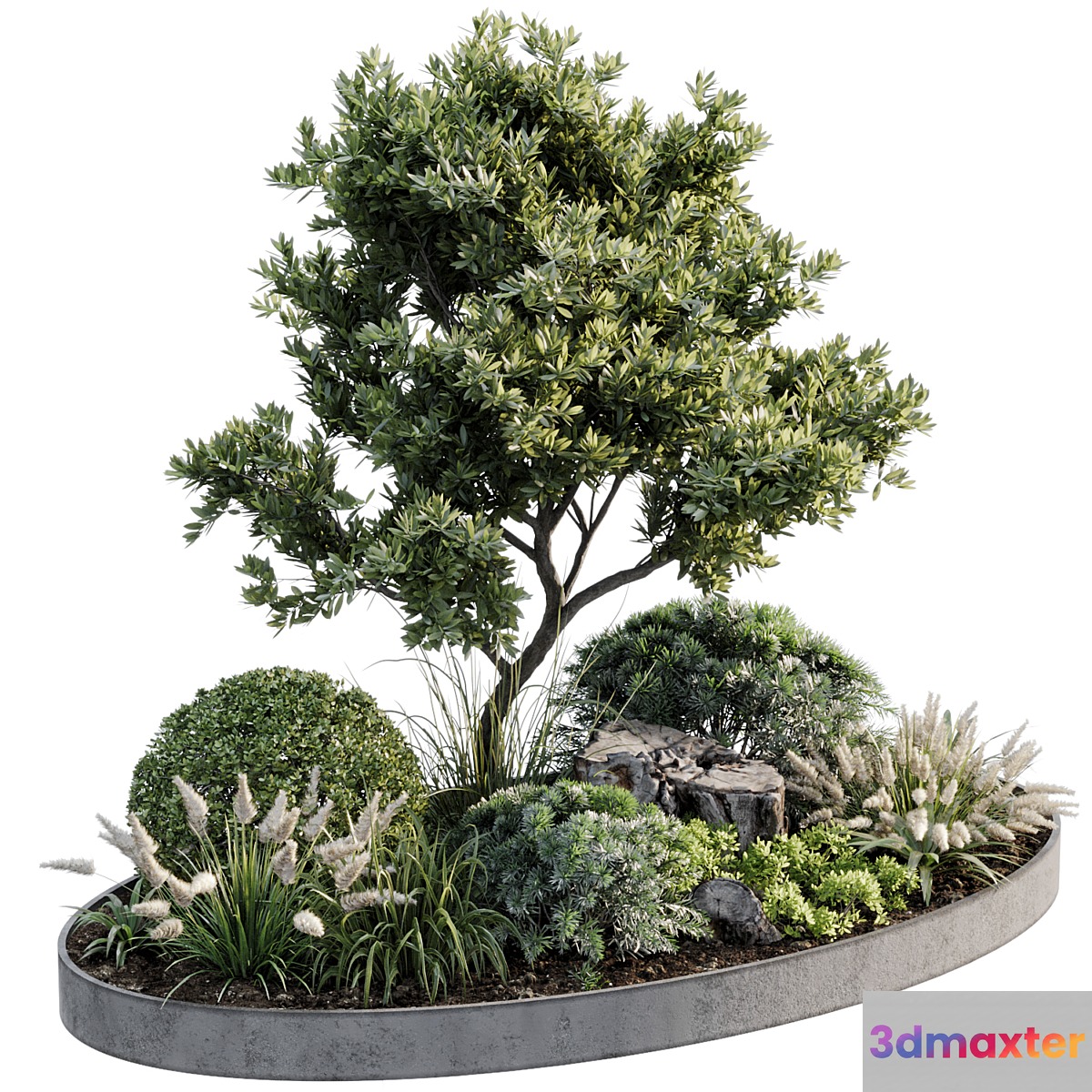Outdoor Plant 05 3D Max