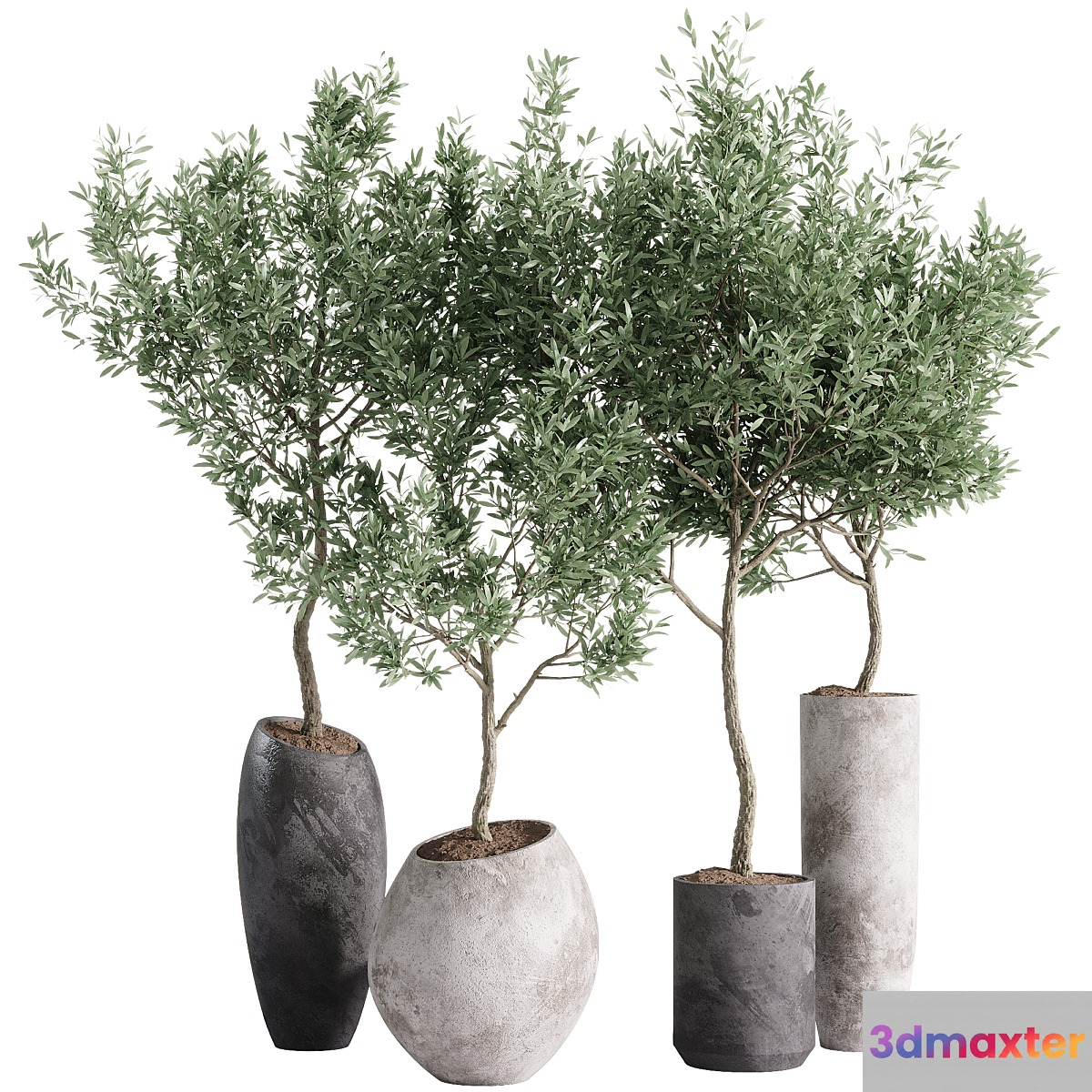 indoor plants - 55 plants in pot 3D Max