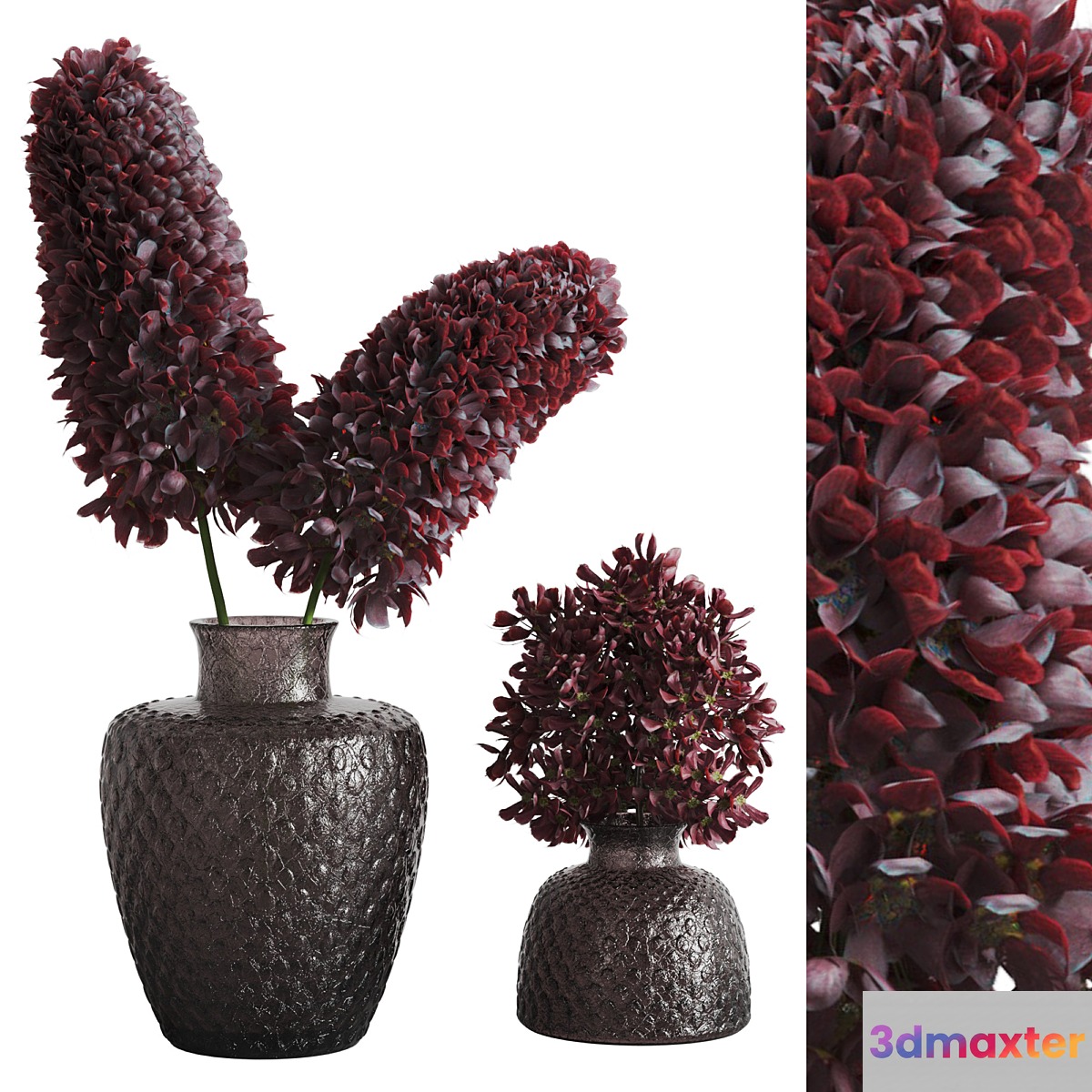 decorative plants007 3D Max