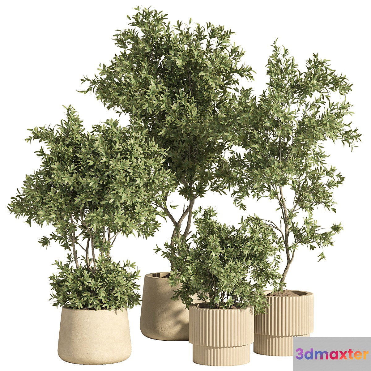 indoor plant set 74 3D Max