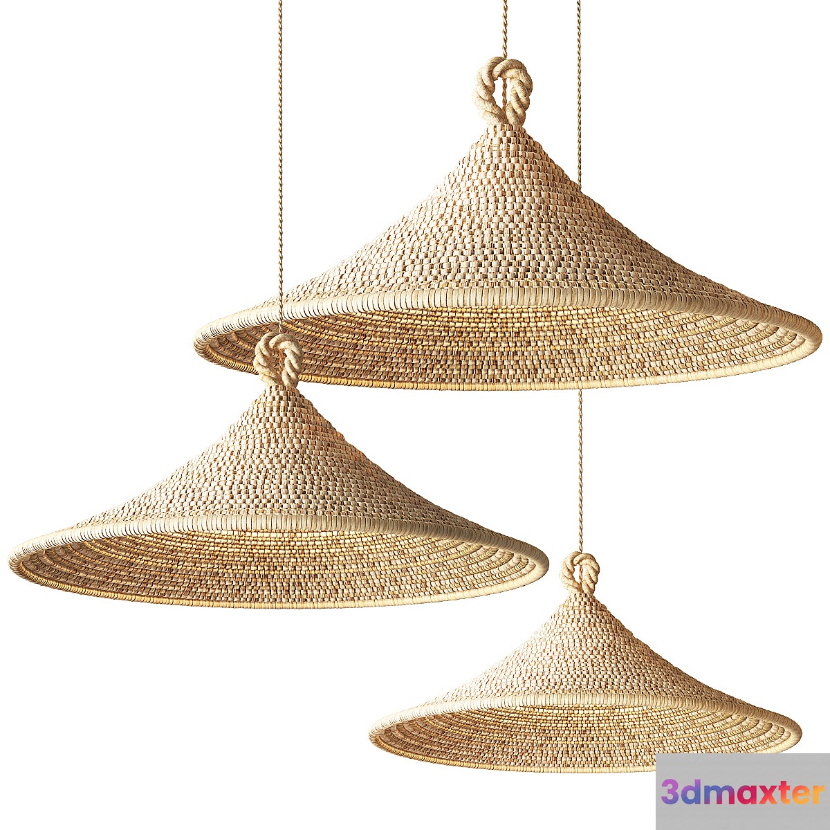 Cone Pendant Lamp 3D Max