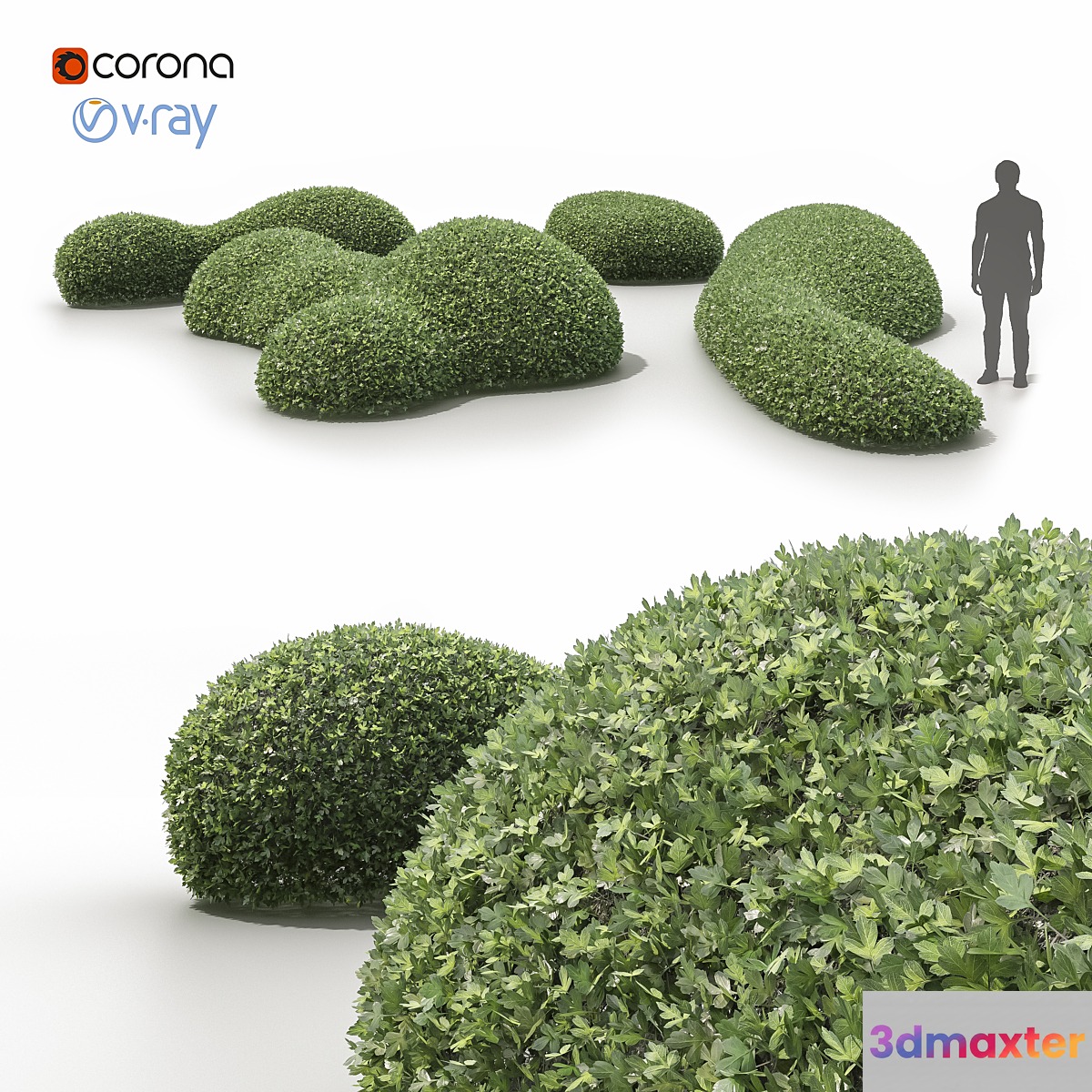 Topiary bushes _ Topiary bushes 3D Max