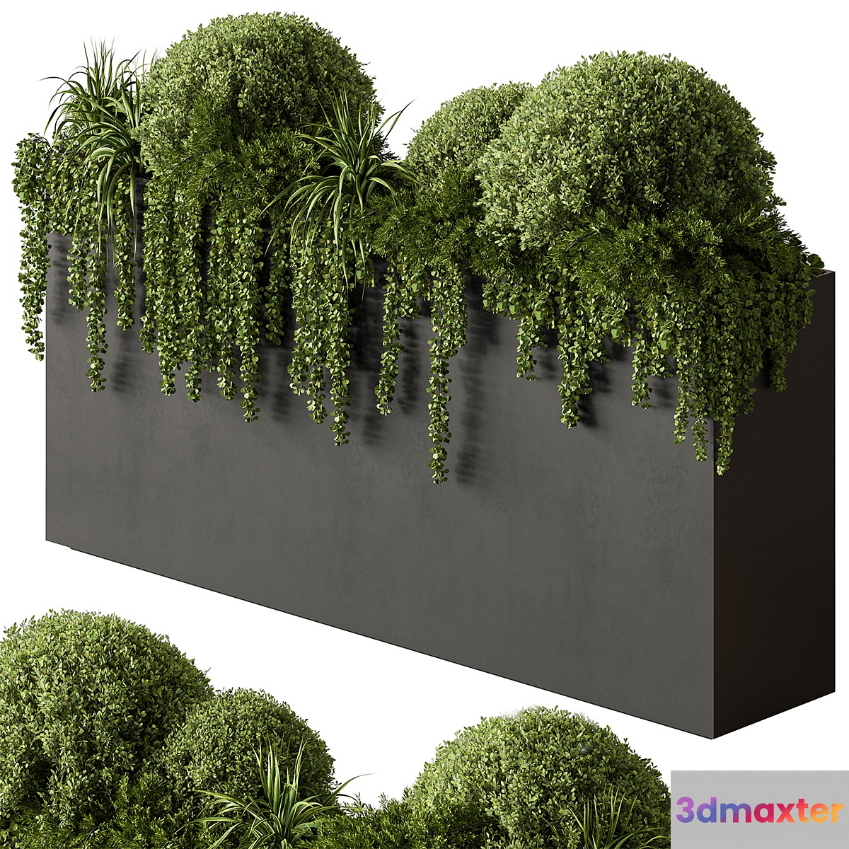 Plant Box - Outdoor Plants 603 3D Max