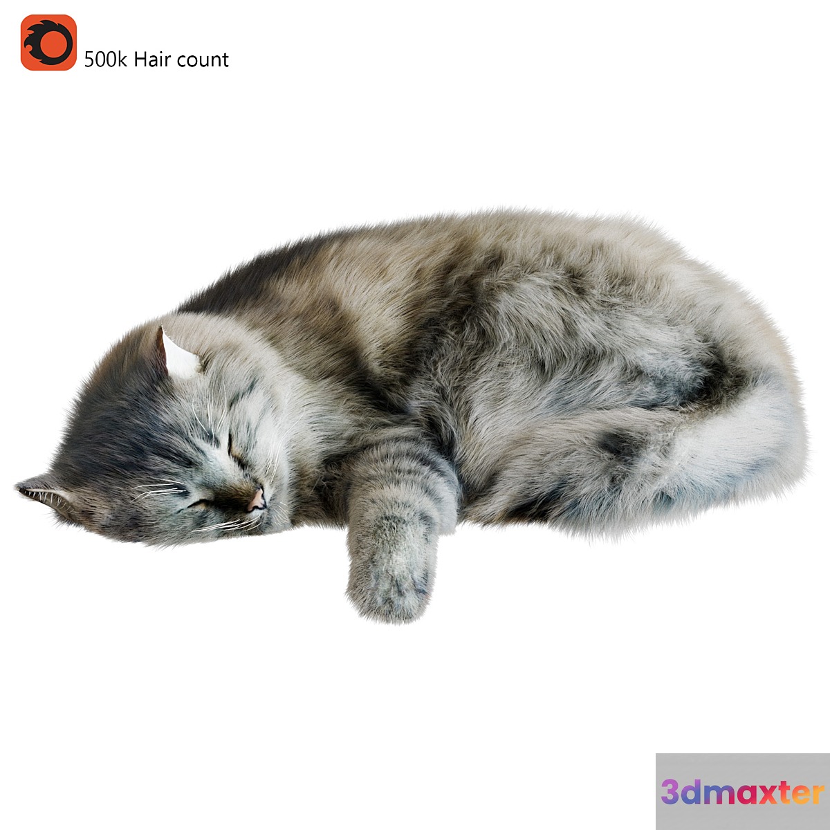 Cat Corona 3D Max
