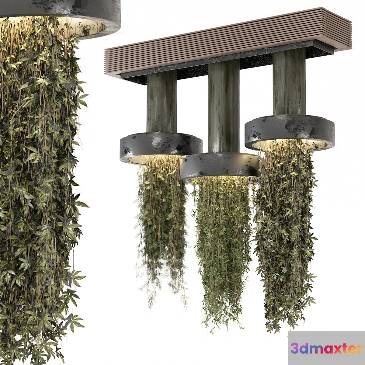 indoor Plants Collection set_12 hanging65 3D Max