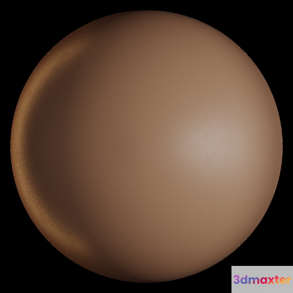 Skin texture 001 3D Max