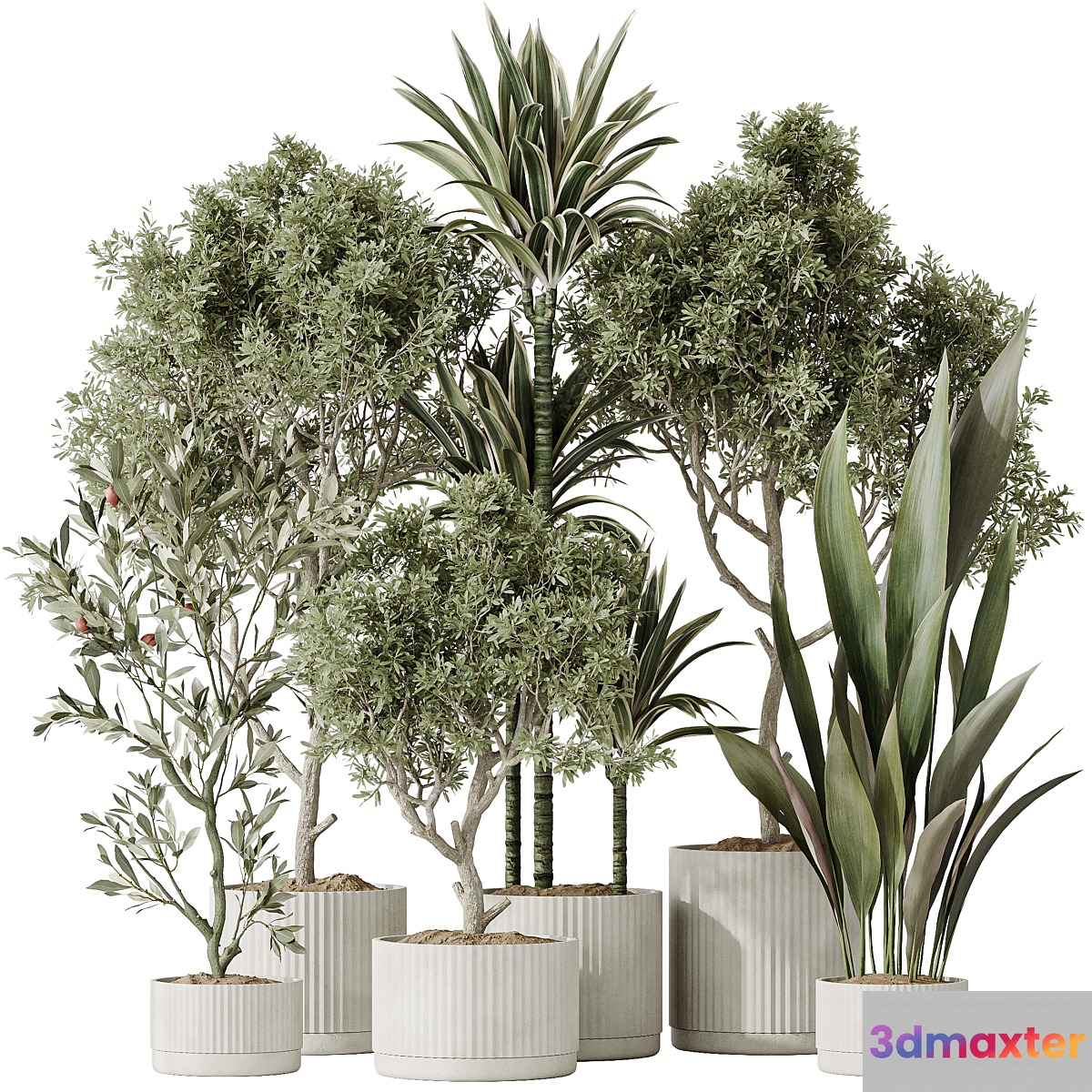 Indoor plants set 63 3D Max