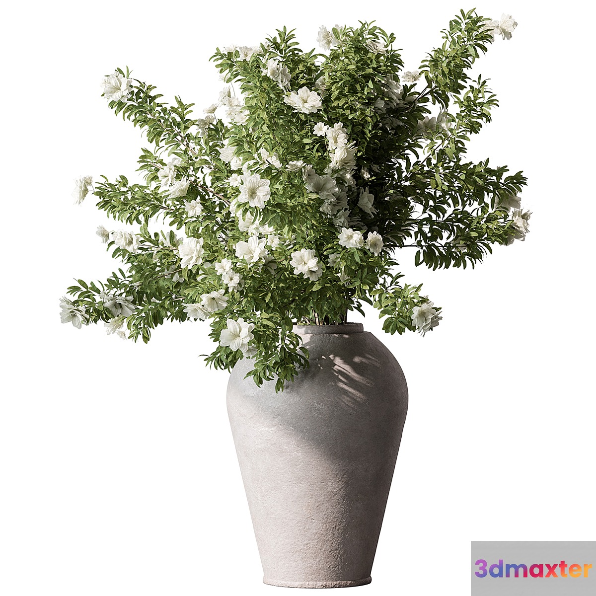 Indoor Plant 737 - Flower Bush 3D Max