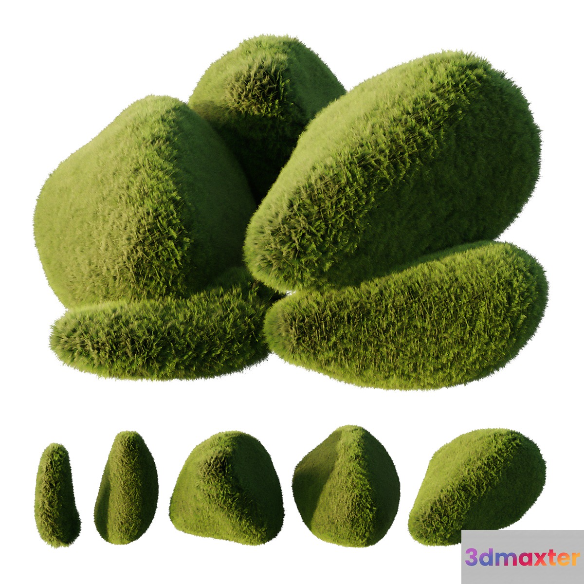 topiary Plant01 3D Max