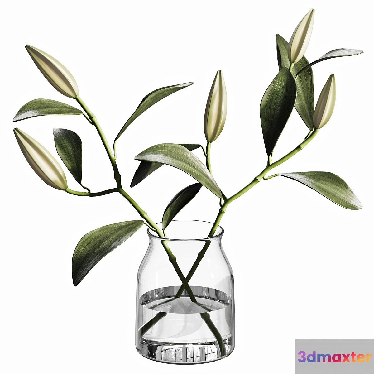 bouquet 01 3D Max