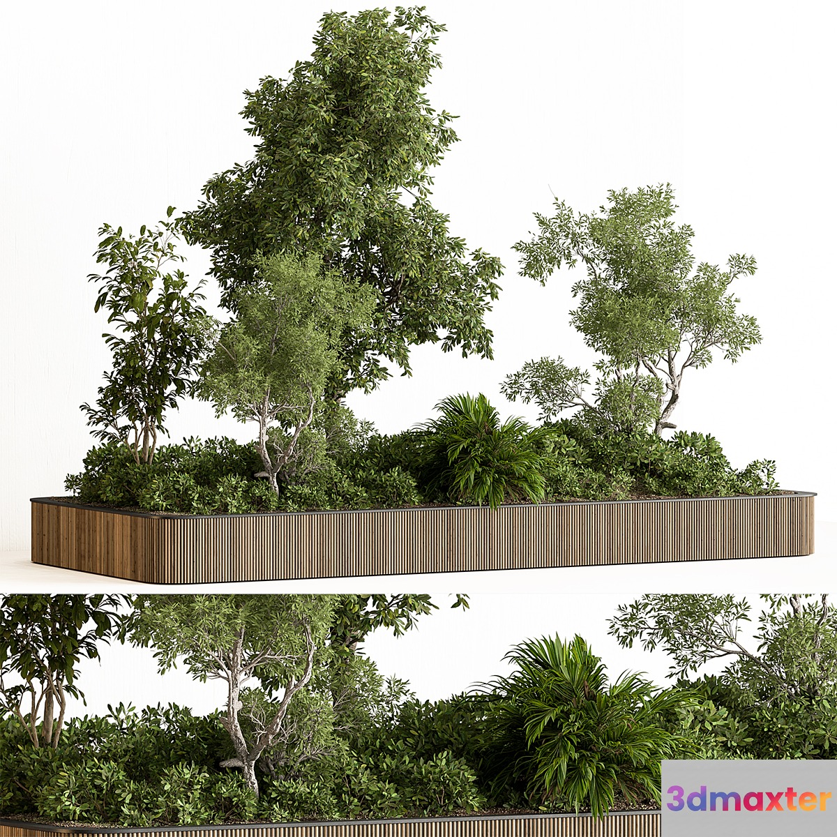 Indoor Plant 750 - Plant Box 3D Max