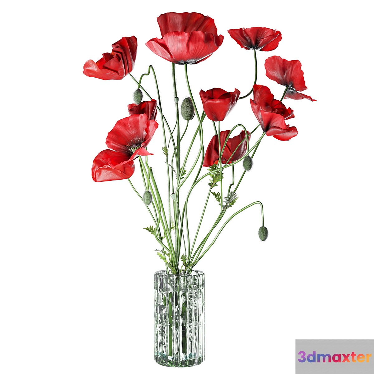 Field Poppies in a Vase 3D Max