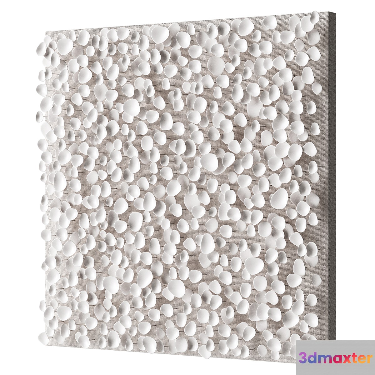 Art canvas with white petals 3D Max