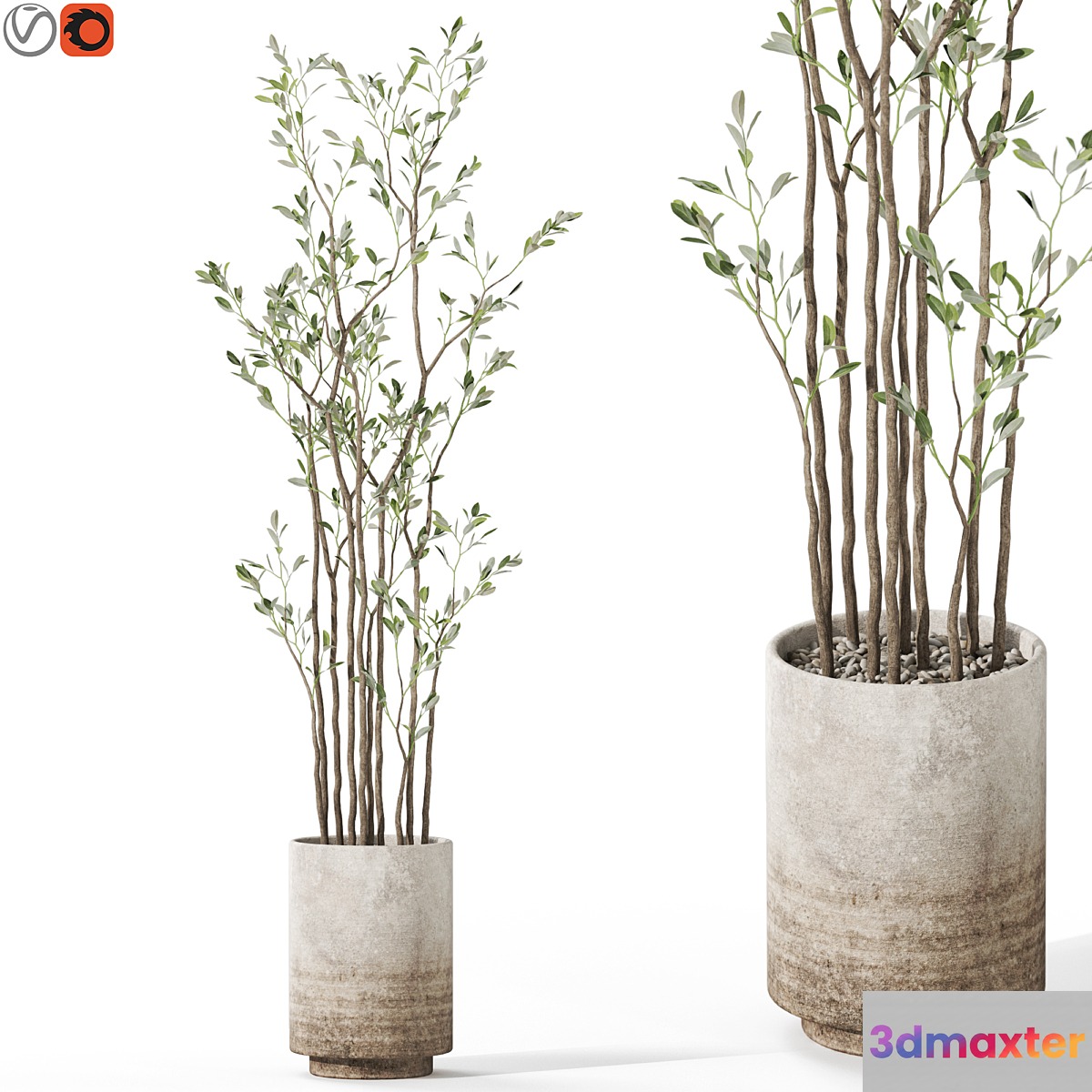 Plants collection 1124 3D Max