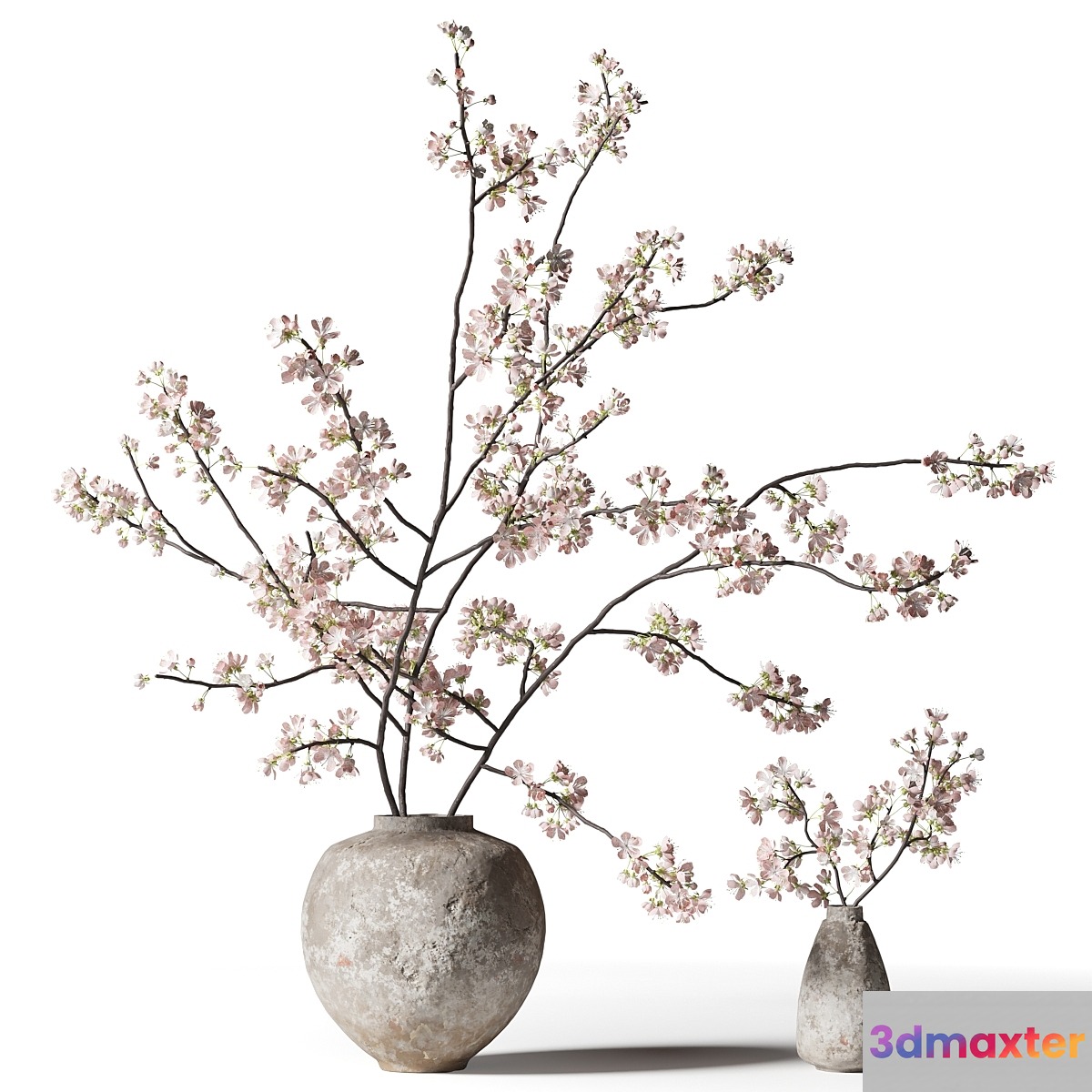 Branch with flowers in a clay vase 3D Max