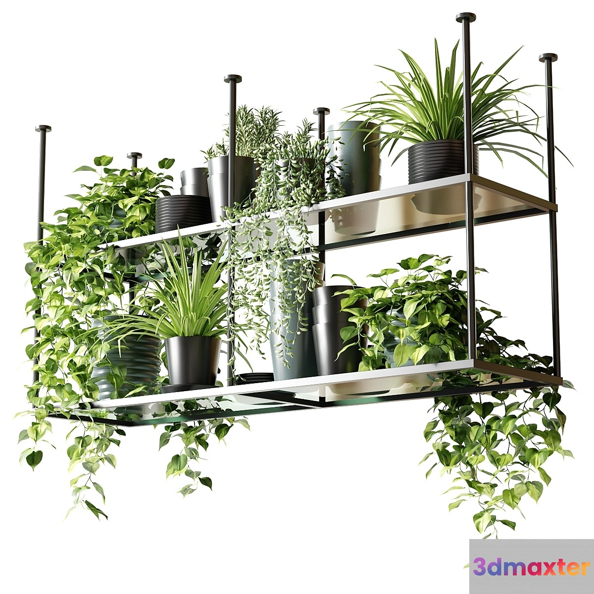 Hanging shelf with plants for the kitchen 3D Max