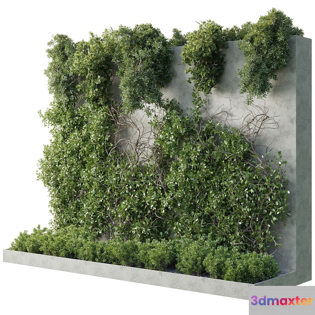 Vertical Wall Garden - Ivy partition - Outdoor garden plant 216 3D Max