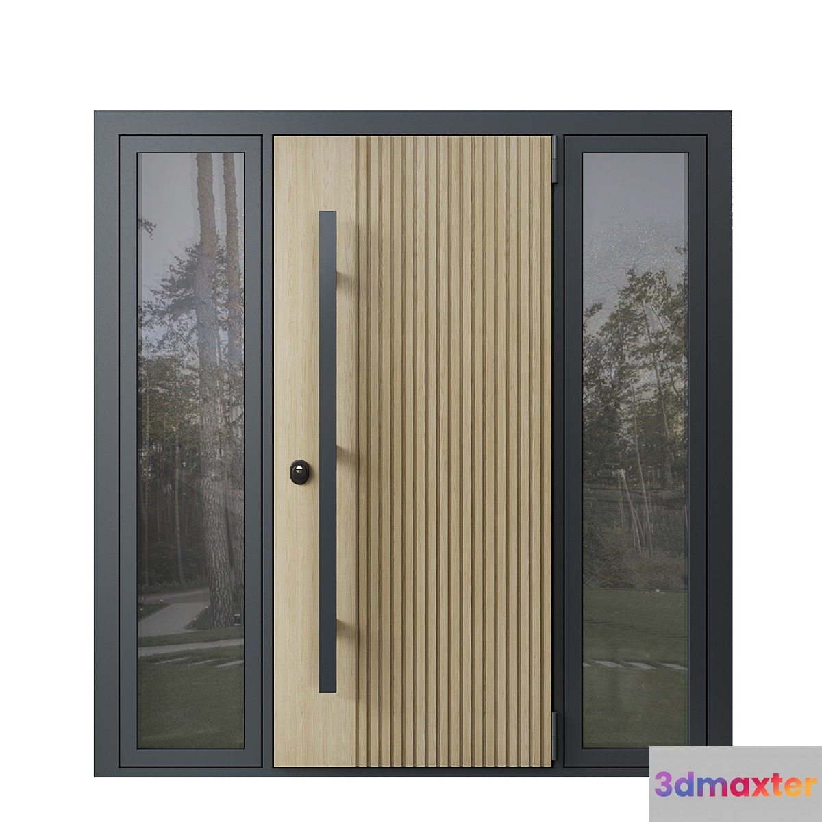 Entrance door with transoms to cottage 03 3D Max