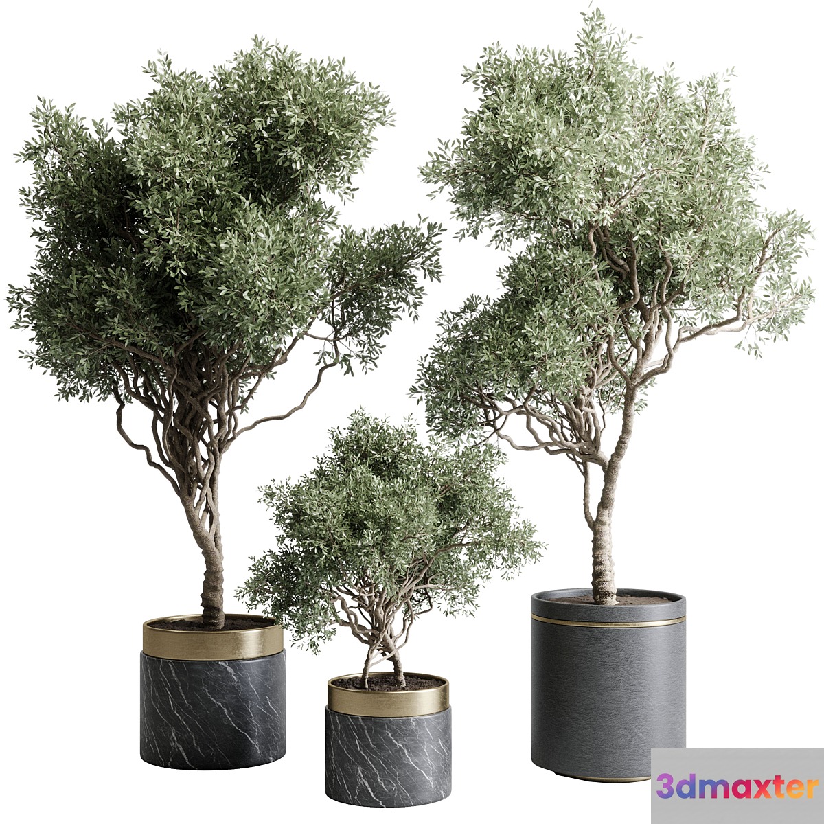 Tree in a marble pot - indoor plant 565 3D Max